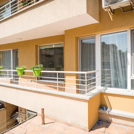 Sea Grape Wine Flat In Old Center 公寓