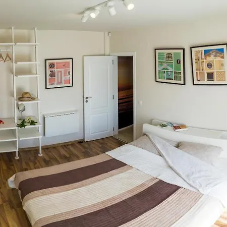 Sea Grape Wine Flat In Old Center 公寓